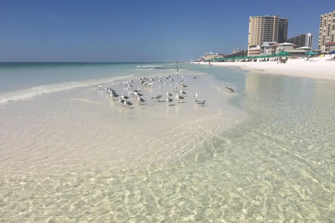 Mainsail 118 Apartment Destin 0*,